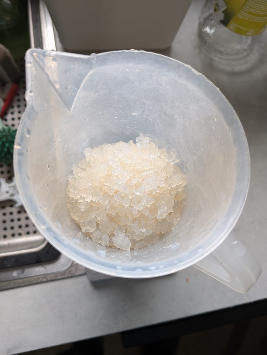 Water kefir grains